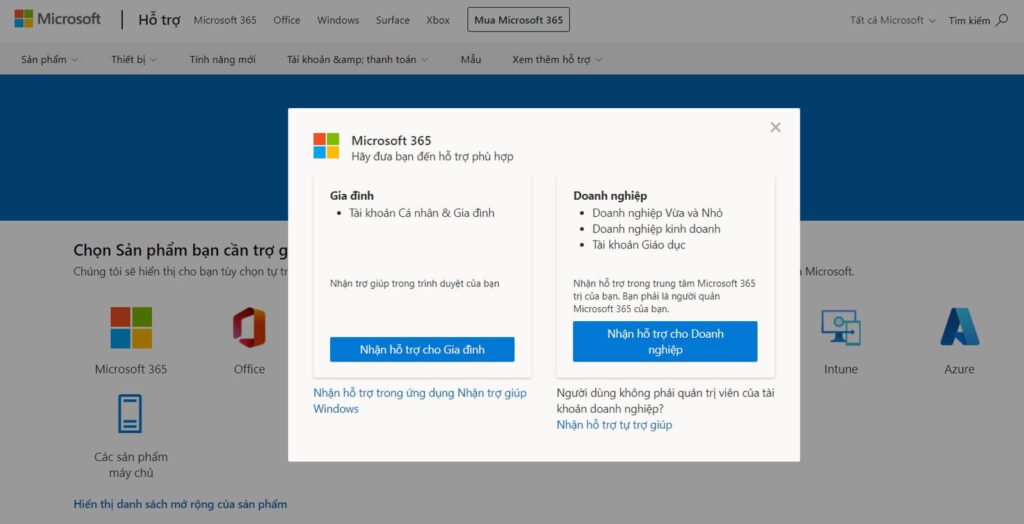 Nhóm  hỗ trợ Microsoft 
